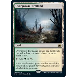 画像1: 【ENG】草茂る農地/Overgrown Farmland[MTG_MID_265R]