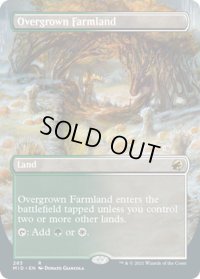 【ENG】草茂る農地/Overgrown Farmland[MTG_MID_283R]