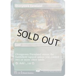 画像1: 【ENG】草茂る農地/Overgrown Farmland[MTG_MID_283R]