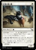 【JPN】広場の使い魔/Forum Familiar[MTG_MKM_0016_U]