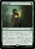 【JPN】花粉の分析/Analyze the Pollen[MTG_MKM_0150_R]