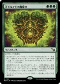 【JPN】大ドルイドの魔除け/Archdruid's Charm[MTG_MKM_0151_R]