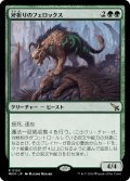 【JPN】斧折りのフェロックス/Axebane Ferox[MTG_MKM_0153_R]