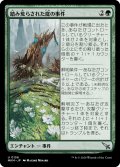 【JPN】踏み荒らされた庭の事件/Case of the Trampled Garden[MTG_MKM_0156_U]