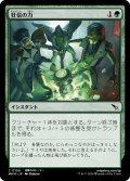 【JPN】狂信の力/Fanatical Strength[MTG_MKM_0159_C]