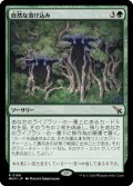 【JPN】自然な溶け込み/Hide in Plain Sight[MTG_MKM_0166_R]