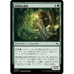 画像1: 【JPN】神経質な庭師/Nervous Gardener[MTG_MKM_0169_C]