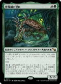 【JPN】育殻組の誉れ/The Pride of Hull Clade[MTG_MKM_0172_M]