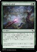 【JPN】こっちに行ったぞ/They Went This Way[MTG_MKM_0178_C]