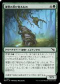 【JPN】復讐の忍び寄るもの/Vengeful Creeper[MTG_MKM_0182_C]