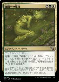 【JPN】庭園への埋設/Buried in the Garden[MTG_MKM_0191_U]