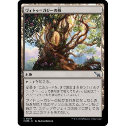 画像1: 【JPN】ヴィトゥ＝ガジーの枝/Branch of Vitu-Ghazi[MTG_MKM_0258_U]