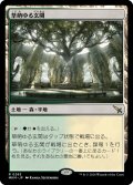 【JPN】★プレリFoil★草萌ゆる玄関/Lush Portico[MTG_MKM_0263_R]