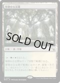 【JPN】★Foil★草萌ゆる玄関/Lush Portico[MTG_MKM_0263_R]