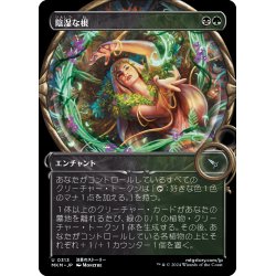 画像1: 【JPN】■Showcace Frame■陰湿な根/Insidious Roots[MTG_MKM_0313_U]