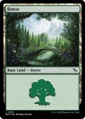 【ENG】森/Forest[MTG_MKM_0285_L]