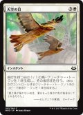 【JPN】天空の目/Eyes in the Skies[MTG_MM3_005C]