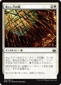 【JPN】落とし穴の罠/Pitfall Trap[MTG_MM3_018C]