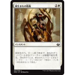 画像1: 【JPN】根生まれの防衛/Rootborn Defenses[MTG_MM3_021C]