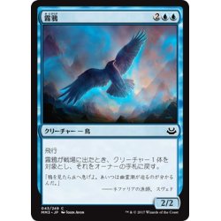 画像1: 【JPN】霧鴉/Mist Raven[MTG_MM3_043C]