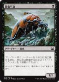 【JPN】葬儀甲虫/Mortician Beetle[MTG_MM3_078C]