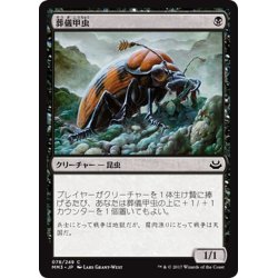 画像1: 【JPN】葬儀甲虫/Mortician Beetle[MTG_MM3_078C]