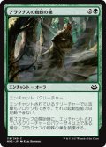 【JPN】アラクナスの蜘蛛の巣/Arachnus Web[MTG_MM3_118C]