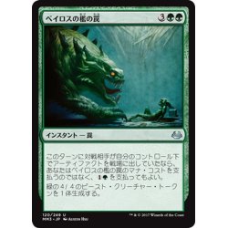 画像1: 【JPN】ベイロスの檻の罠/Baloth Cage Trap[MTG_MM3_120U]