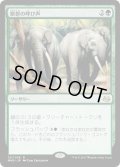 【JPN】獣群の呼び声/Call of the Herd[MTG_MM3_121R]