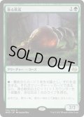 【JPN】漁る軟泥/Scavenging Ooze[MTG_MM3_134R]