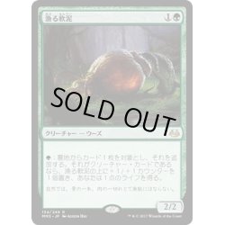 画像1: 【JPN】漁る軟泥/Scavenging Ooze[MTG_MM3_134R]