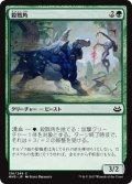 【JPN】殺戮角/Slaughterhorn[MTG_MM3_136C]