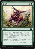 【JPN】数の力/Strength in Numbers[MTG_MM3_138C]