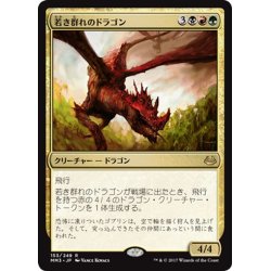 画像1: 【JPN】若き群れのドラゴン/Broodmate Dragon[MTG_MM3_153R]