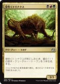 【JPN】芽吹くトリナクス/Sprouting Thrinax[MTG_MM3_189U]