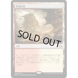 画像1: 【JPN】乾燥台地/Arid Mesa[MTG_MM3_229R]