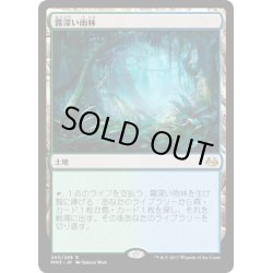 画像1: 【JPN】霧深い雨林/Misty Rainforest[MTG_MM3_240R]