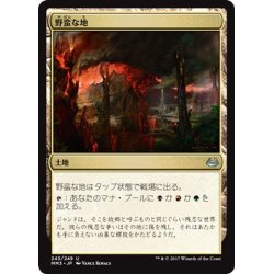 画像1: 【JPN】野蛮な地/Savage Lands[MTG_MM3_243U]