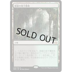 画像1: 【JPN】新緑の地下墓地/Verdant Catacombs[MTG_MM3_249R]