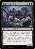 【JPN】鬱牙のやっかいもの/Gloomfang Mauler[MTG_MOM_0108C]