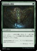 【JPN】機械蜘蛛の順応/Arachnoid Adaptation[MTG_MOM_0175C]