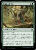 【JPN】荒廃した芽ぐみ/Blighted Burgeoning[MTG_MOM_0177C]