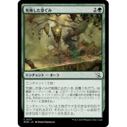 画像1: 【JPN】荒廃した芽ぐみ/Blighted Burgeoning[MTG_MOM_0177C]