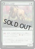 【JPN】★Foil★結束した群獣//板金鎧の窯獣/Bonded Herdbeast//Plated Kilnbeast[MTG_MOM_0178C]