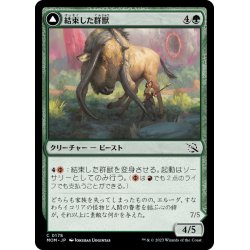 画像1: 【JPN】結束した群獣//板金鎧の窯獣/Bonded Herdbeast//Plated Kilnbeast[MTG_MOM_0178C]