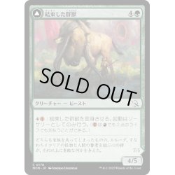 画像1: 【JPN】★Foil★結束した群獣//板金鎧の窯獣/Bonded Herdbeast//Plated Kilnbeast[MTG_MOM_0178C]