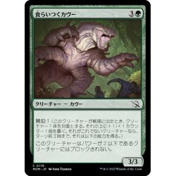 画像1: 【JPN】食らいつくカヴー/Chomping Kavu[MTG_MOM_0179C]