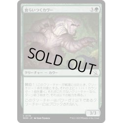 画像1: 【JPN】★Foil★食らいつくカヴー/Chomping Kavu[MTG_MOM_0179C]