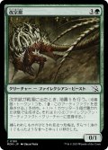 【JPN】改宗獣/Converter Beast[MTG_MOM_0180C]