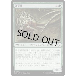 画像1: 【JPN】★Foil★改宗獣/Converter Beast[MTG_MOM_0180C]